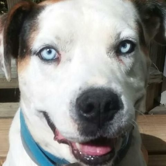 Meet your Posher, Laurie - Picture 1 of 1